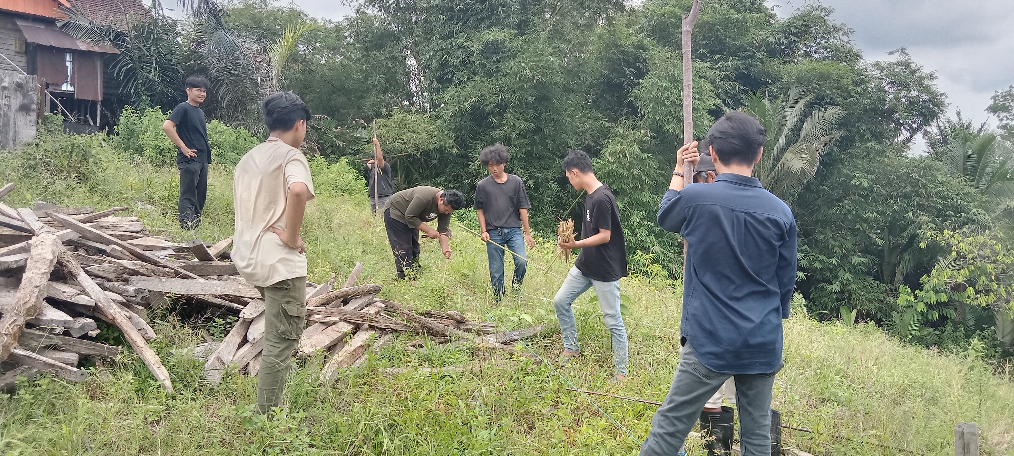 Pengecekan dan Panen Jagung Ketan